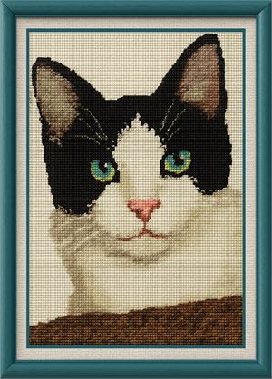 Photograph of product.